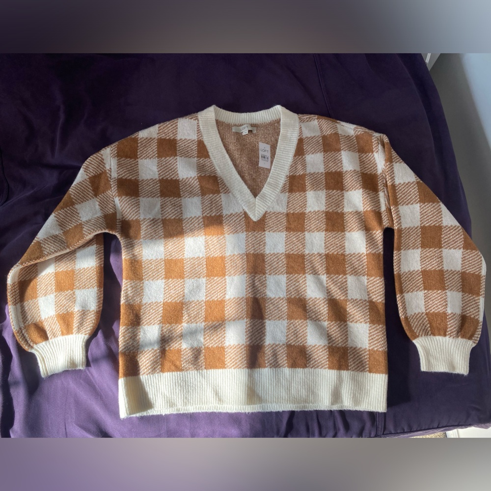 Loft gingham v-neck sweater.